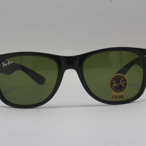 RayBan SunGlasses - RB4202