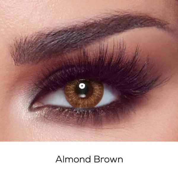 Bella Almond brown contact lenses