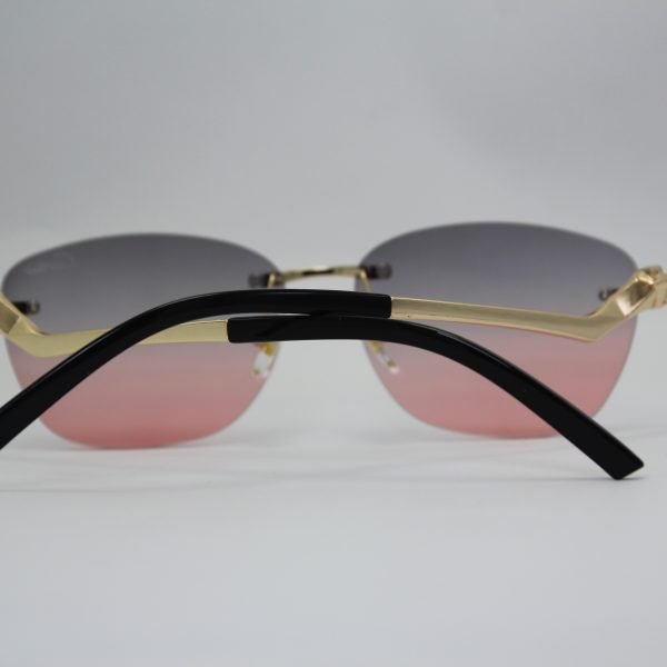 Sunglasses CA1010