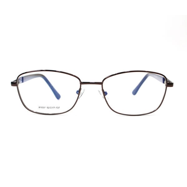 81037 Screen Glasses