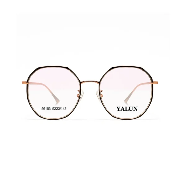 50163 Intelligent Glasses