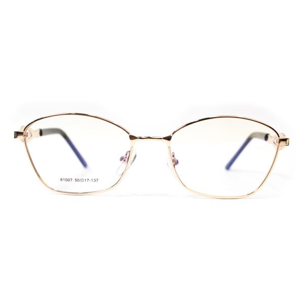 81007 Intelligent Glasses