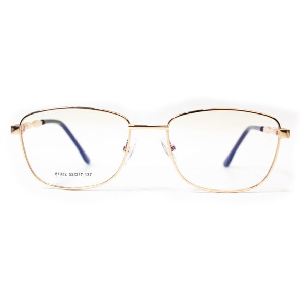 81032 Screen Glasses