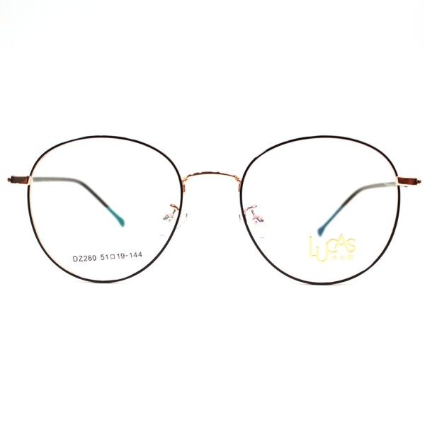 DZ260 Screen Glasses